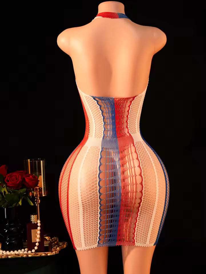 Halter V-Neck Open Back Bodycon Fishnet Dress