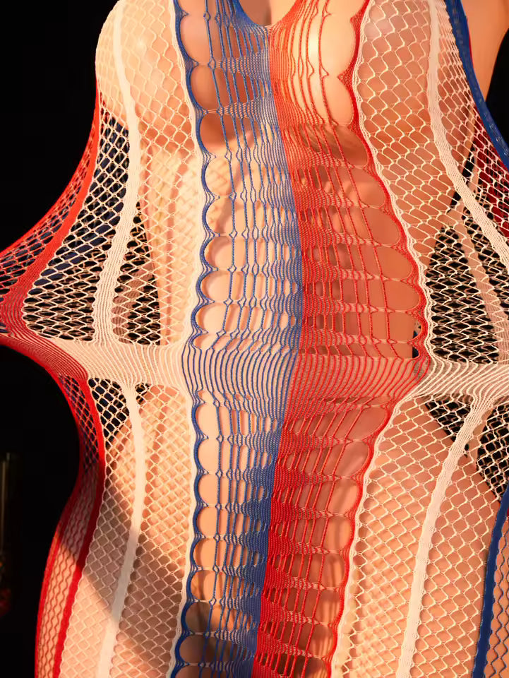 Halter V-Neck Open Back Bodycon Fishnet Dress